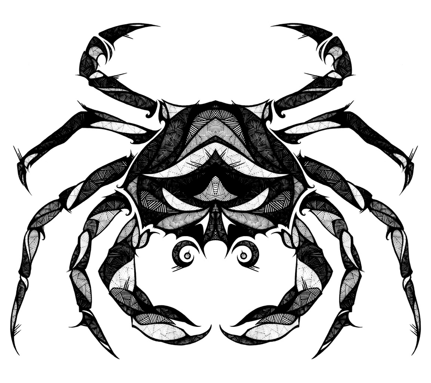 850x756 Crabs Drawing Skull Transparent Png Clipart Free Download - King Crab Drawing