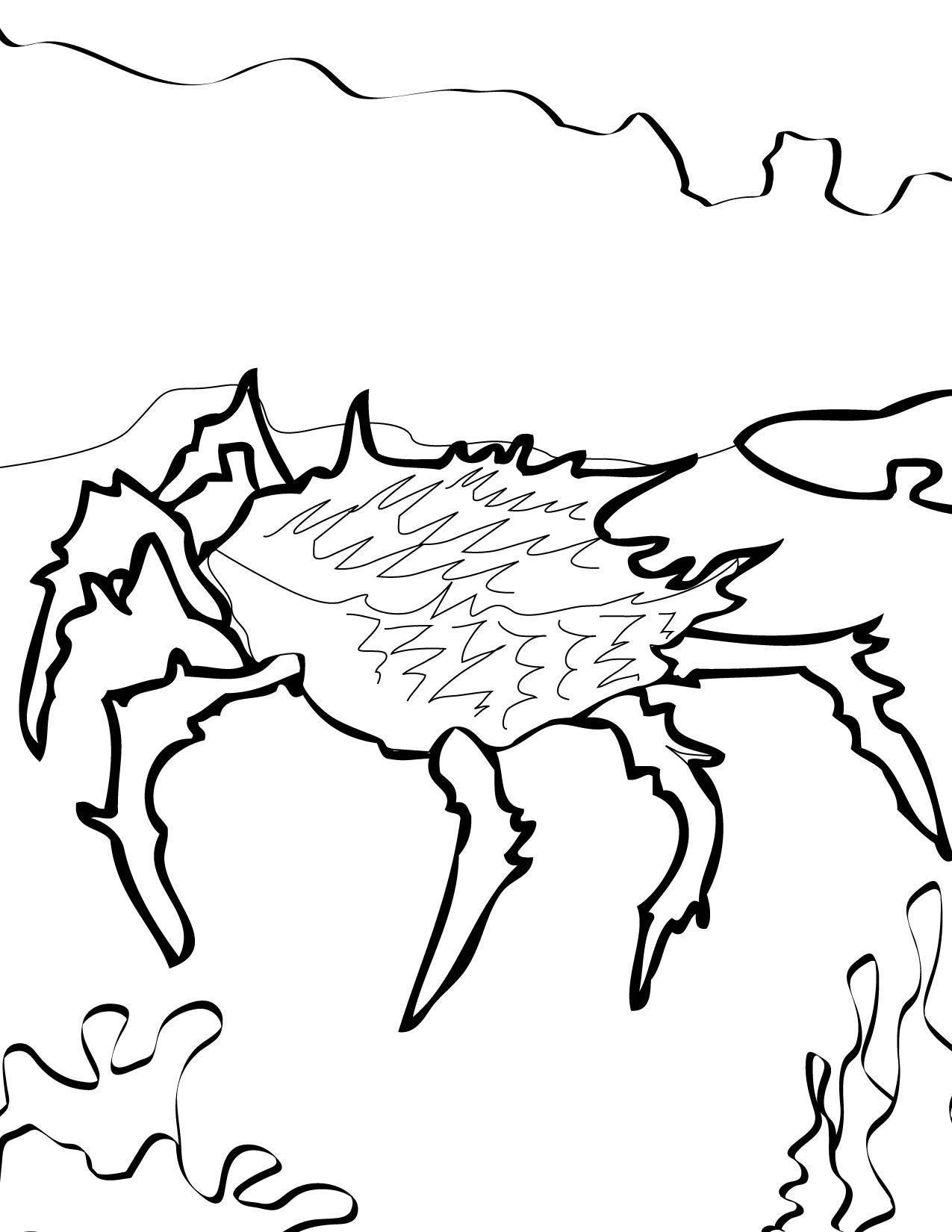 1275x1650 King Crab Drawing - King Crab Drawing
