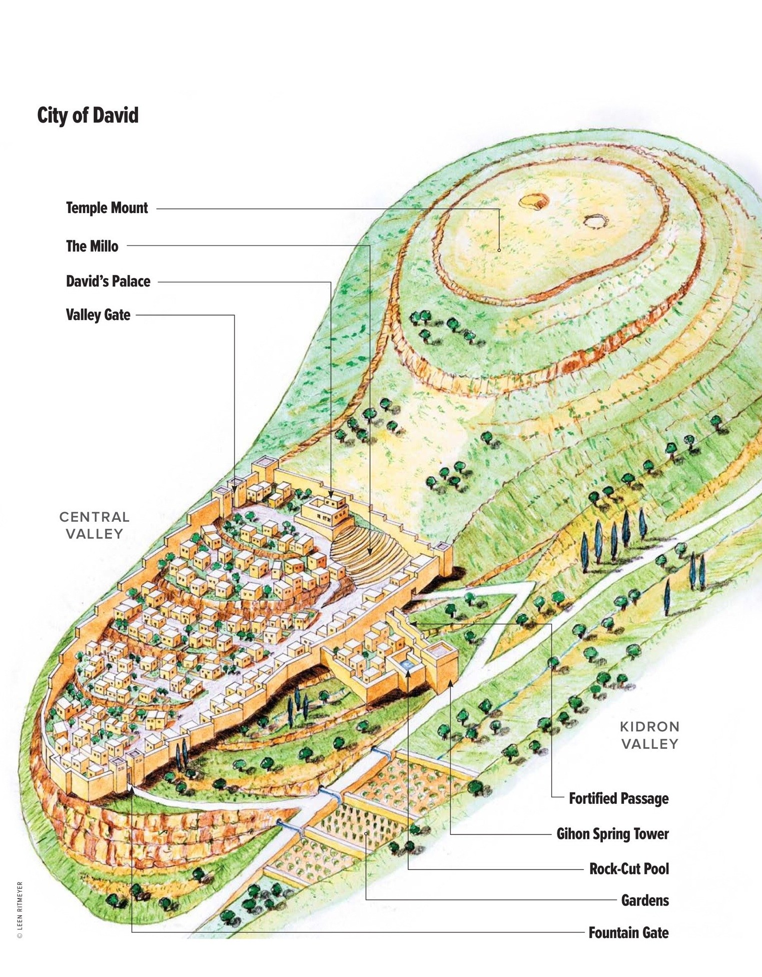 1523x1953 Where Is King David's Tomb - King David Drawing