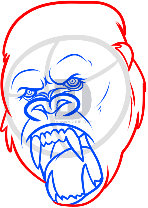 513x720 King Kong Drawing, Step - King Kong Drawing