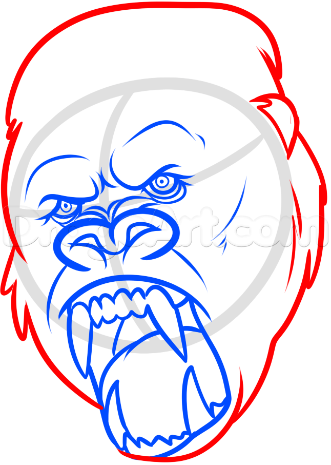646x906 King Kong Drawing, Step - King Kong Drawing