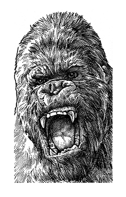 King Kong Pencil Drawing - animals Pencil Drawing