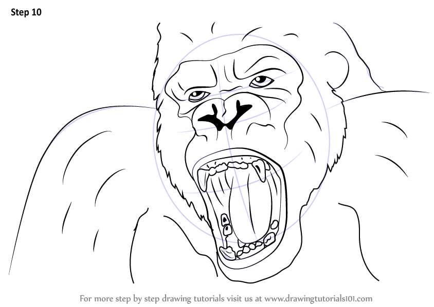 844x598 Learn How To Draw King Kong Face - King Kong Drawing