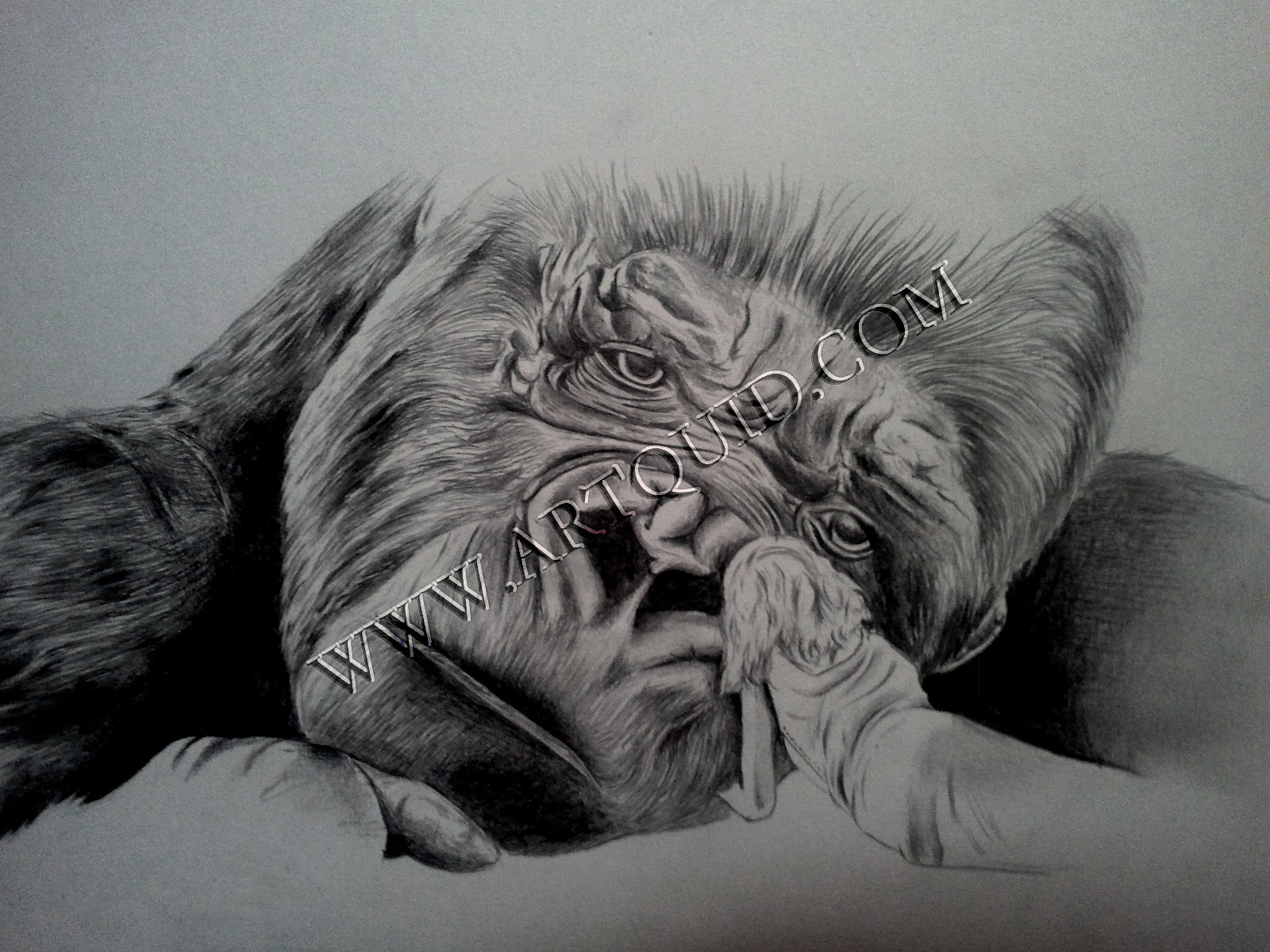 1600x1200 Drawings, King Kong - King Kong Drawing