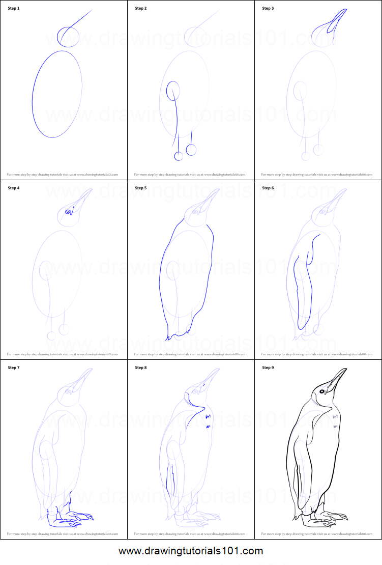 751x1110 How To Draw A King Penguin Printable Step - King Penguin Drawing