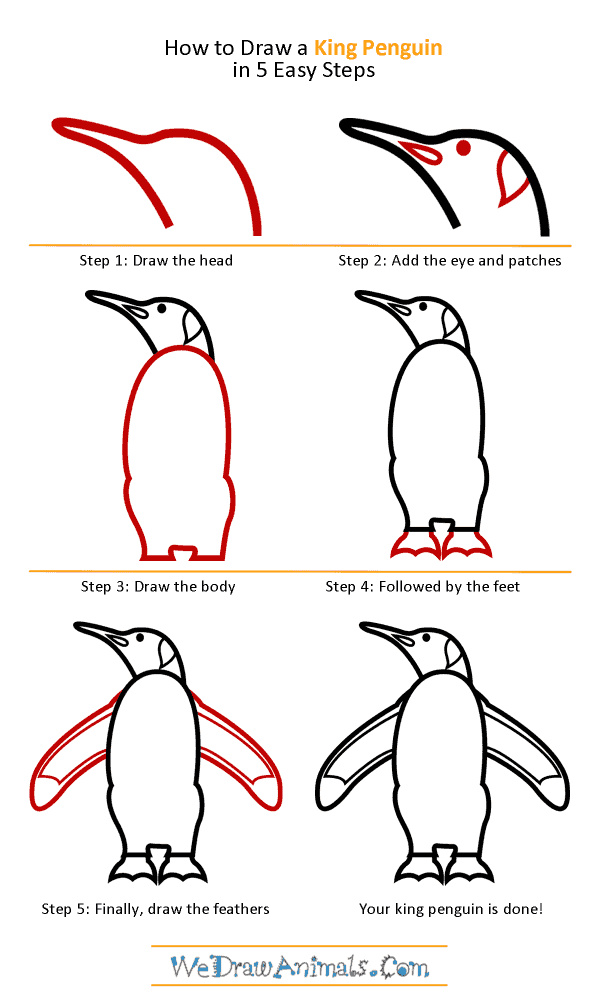 600x1004 How To Draw A King Penguin - King Penguin Drawing