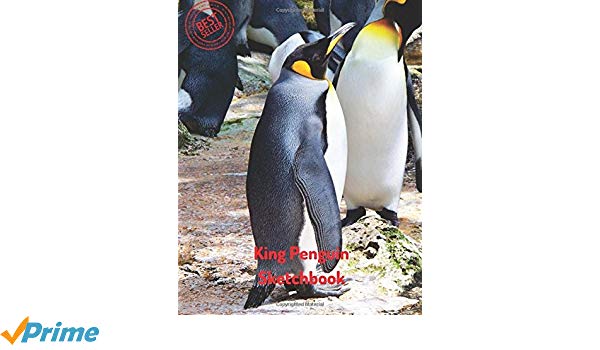 600x350 King Penguin Sketchbook Blank Paper For Drawing, Doodling - King Penguin Drawing