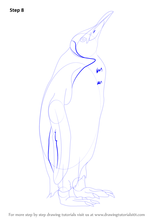 596x842 Step - King Penguin Drawing