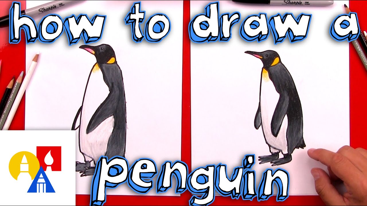 1280x720 how to draw a realistic emperor penguin - King Penguin Drawing