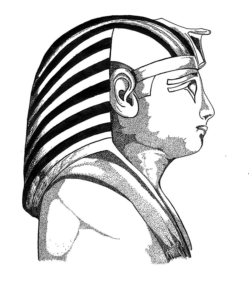 797x900 King Tut Drawing - King Tut Drawing