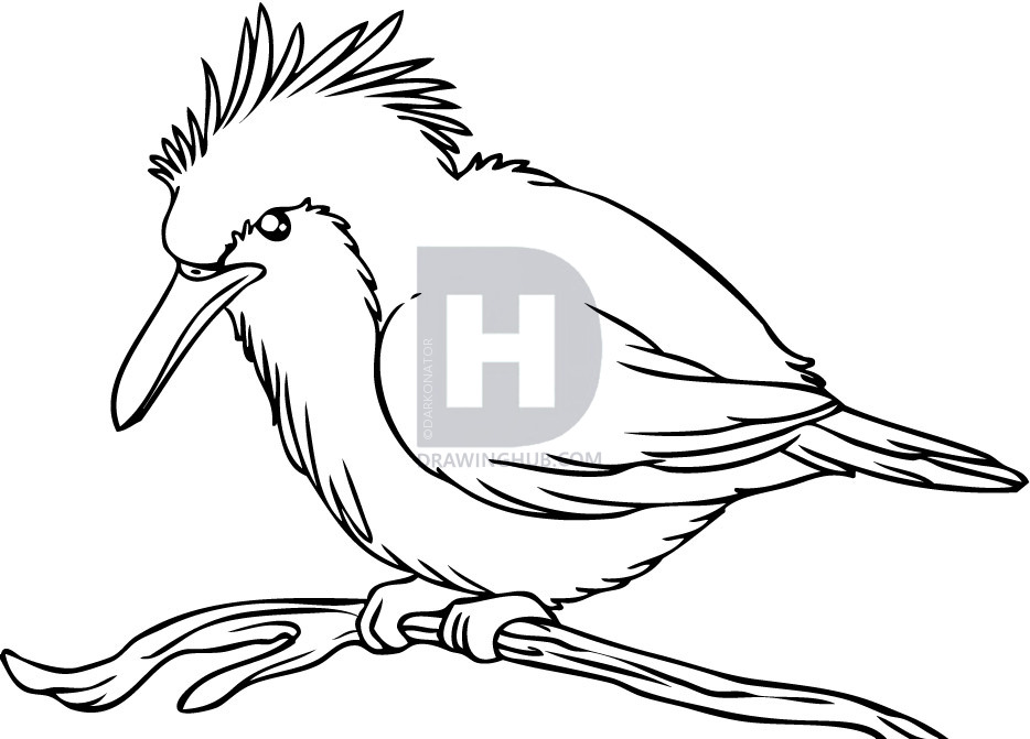 934x671 how to draw a kingfisher bird, step - Kingfisher Bird Drawing