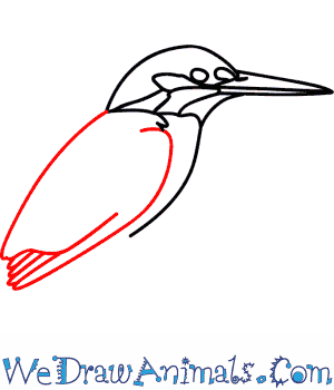 300x350 how to draw a kingfisher - Kingfisher Bird Drawing
