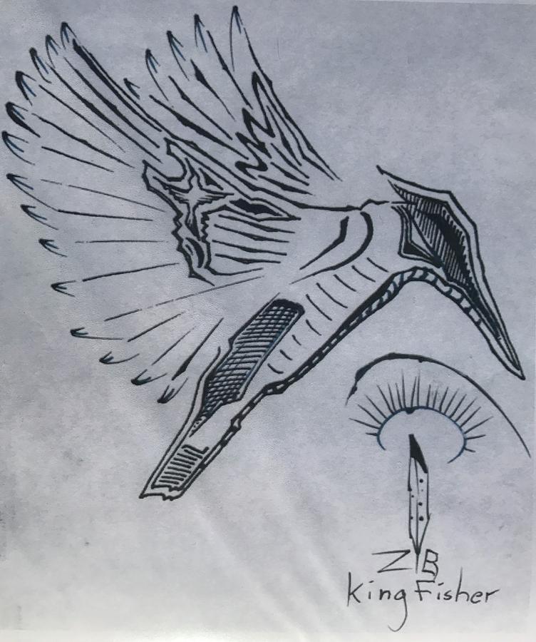 752x900 kingfisher bird drawing - Kingfisher Bird Drawing