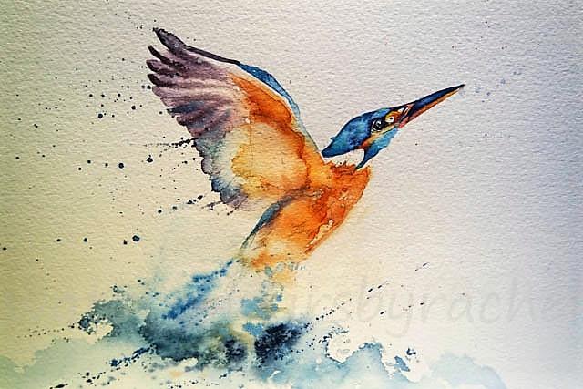 640x427 kingfisher drawing photos drawing skill - Kingfisher Drawing