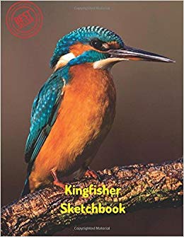 260x335 kingfisher sketchbook blank paper for drawing, doodling - Kingfisher Drawing