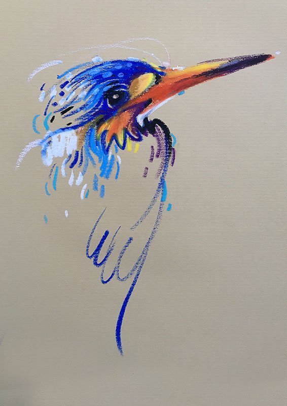 566x800 animalines - Kingfisher Drawing