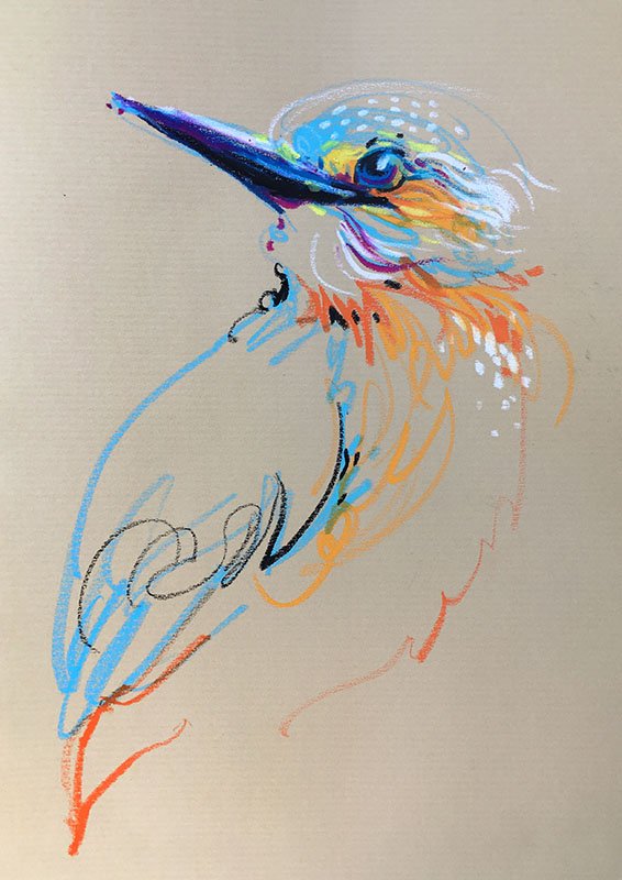 566x800 tilen ti - Kingfisher Drawing