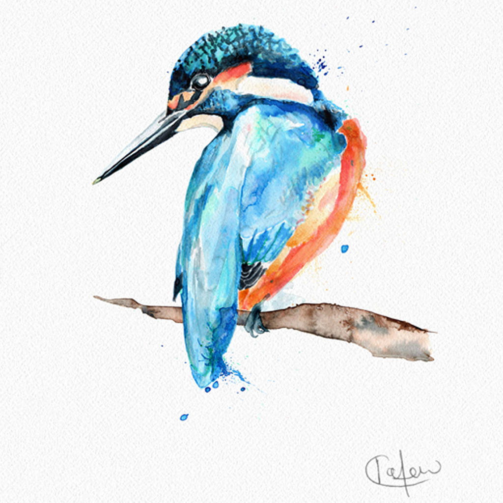 1024x1024 inky kingfisher illustration print - Kingfisher Drawing