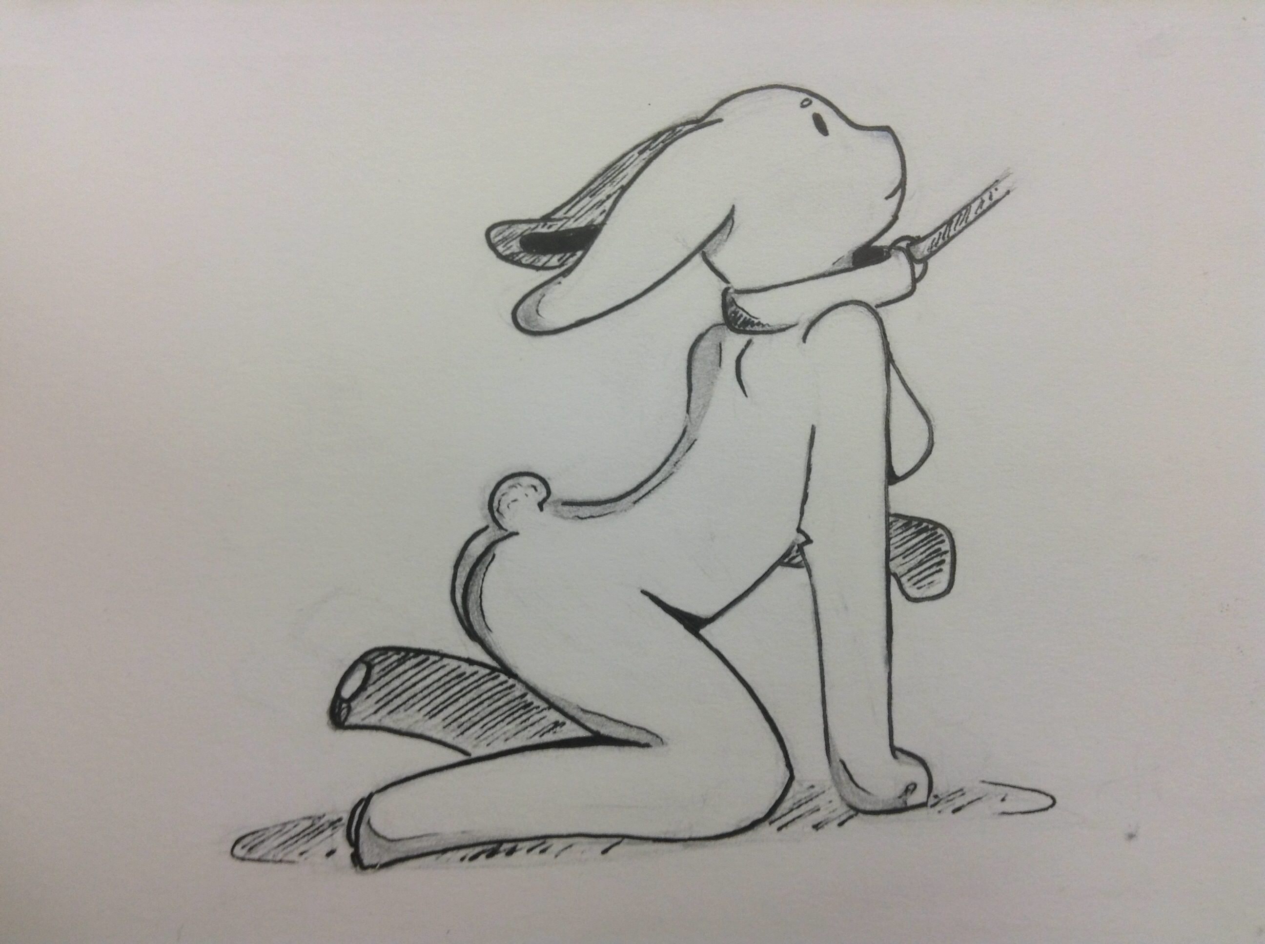 2592x1936 Rope Bunny - Kinky Drawings