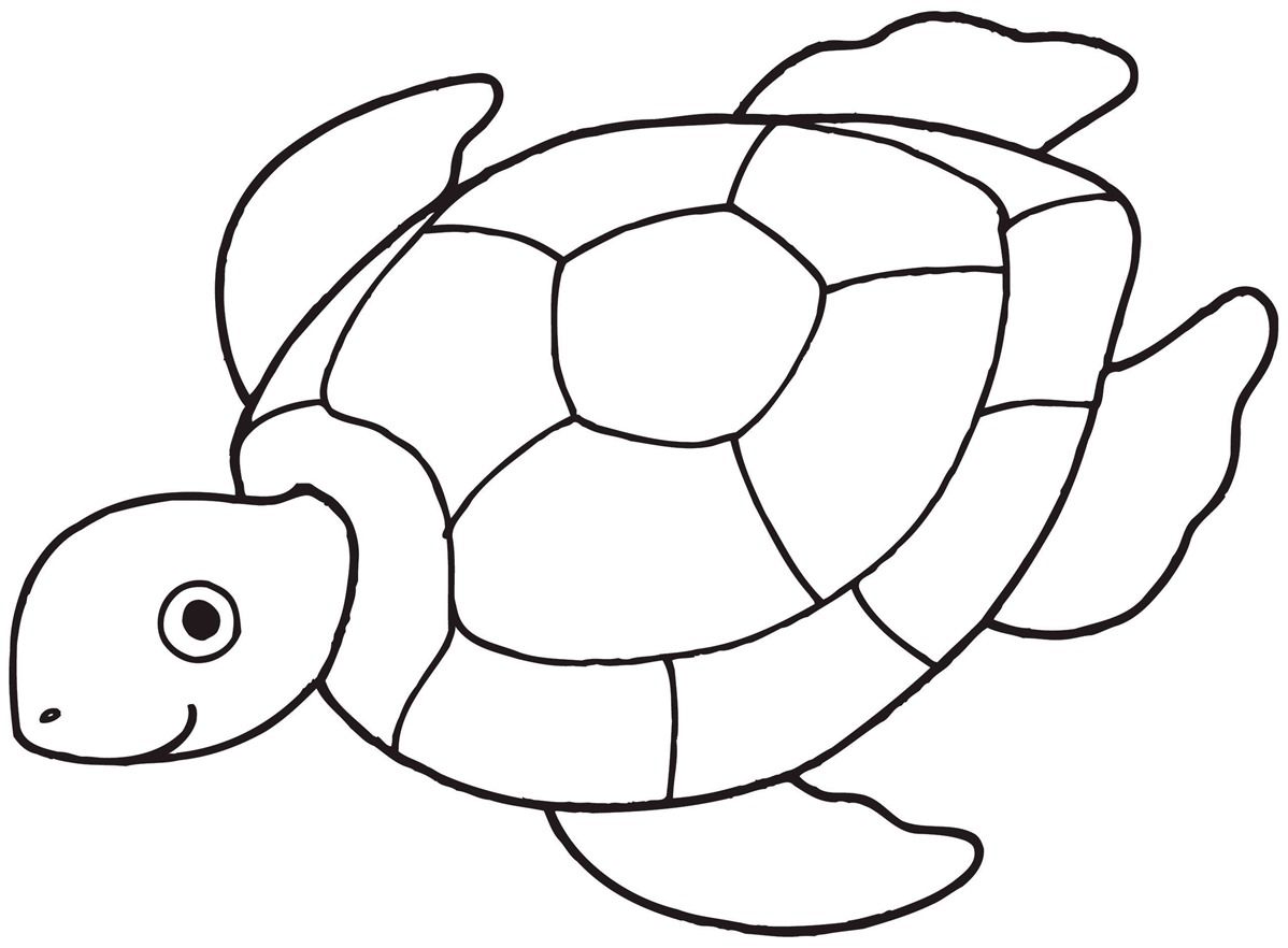 1198x882 Turtle Line Drawing Sea Creatures Malvorlagen - Kite Line Drawing
