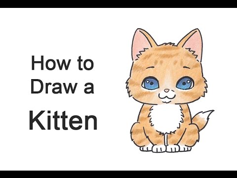 480x360 How To Draw A Cartoon Kitten - Kitten Cartoon Drawing