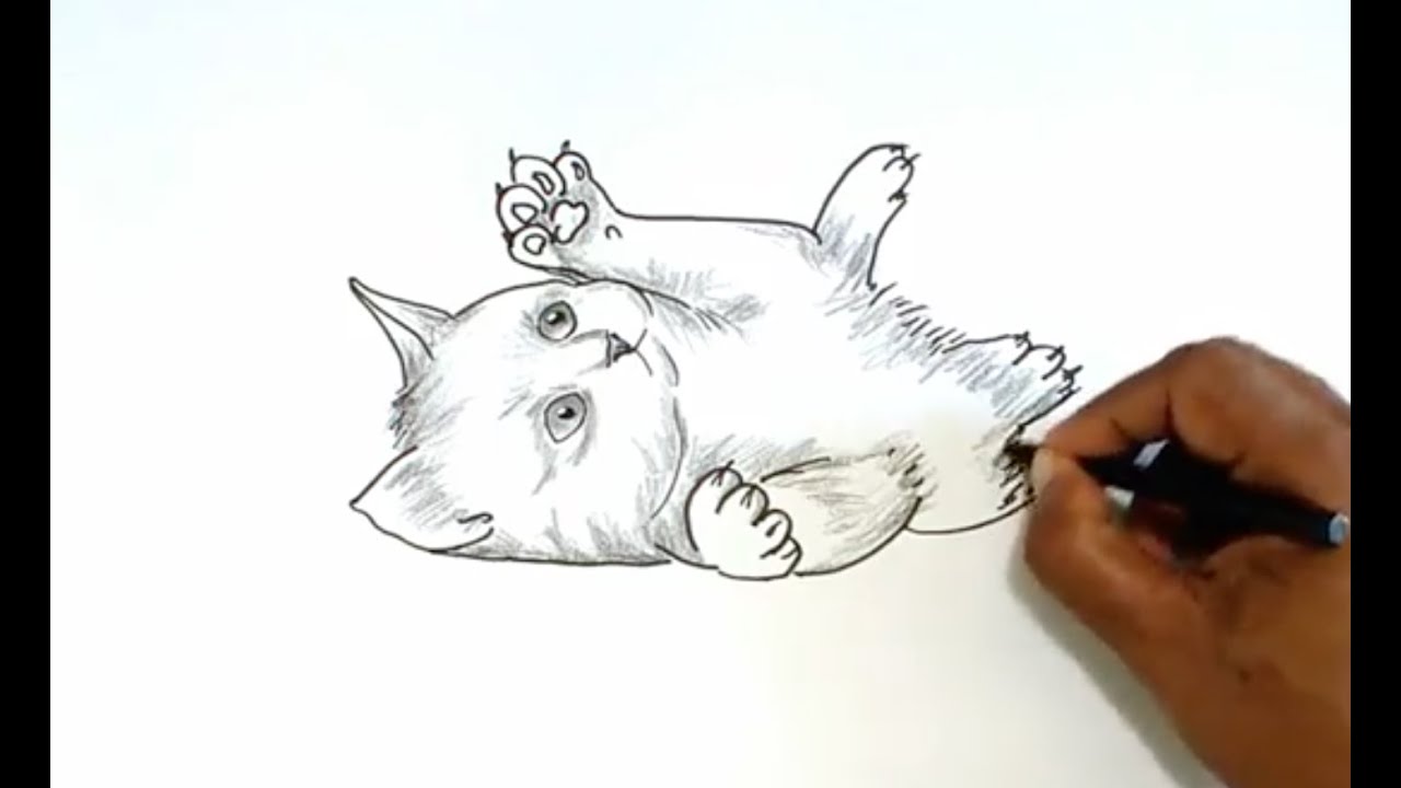 1280x720 How To Draw A Kitten - Kitten Drawing