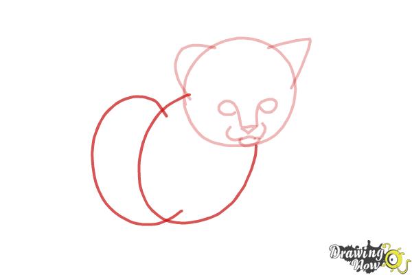 600x400 How To Draw A Kitten Step - Kitten Drawing