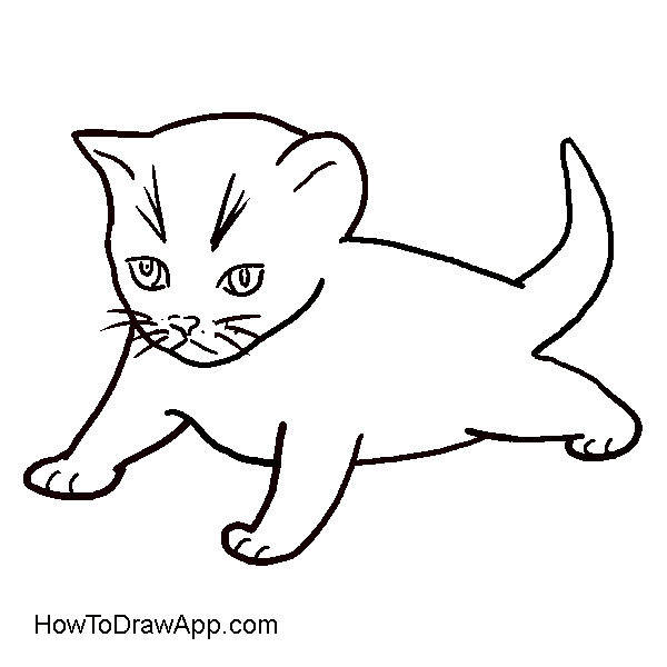 600x600 How To Draw A Kitten, Or Drawing Lesson For Kids And Their Parents - Kitten Drawing