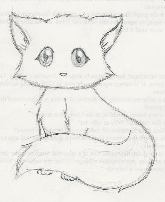 564x687 Cat In Drawings, Kitten Drawing - Kitten Drawing