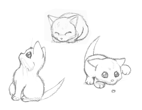 600x464 Sketches - Kitten Drawing