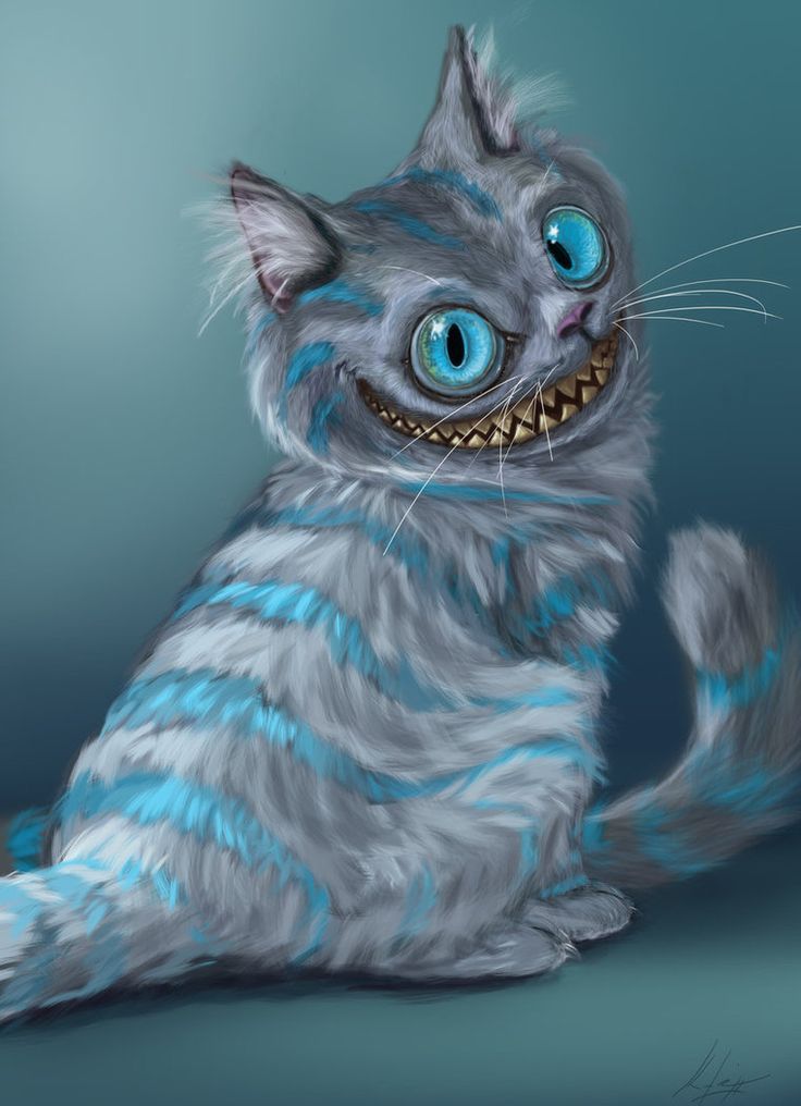 736x1016 Cheshire Kitten Drawing - Kitten Drawing