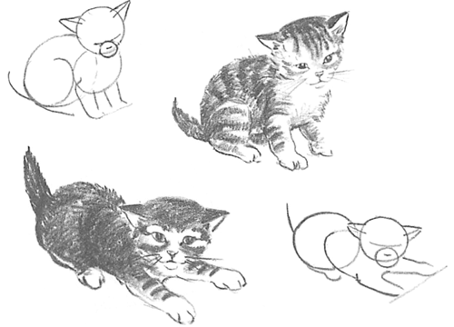 500x360 guide to drawing cats kittens with step - Kitten Drawing