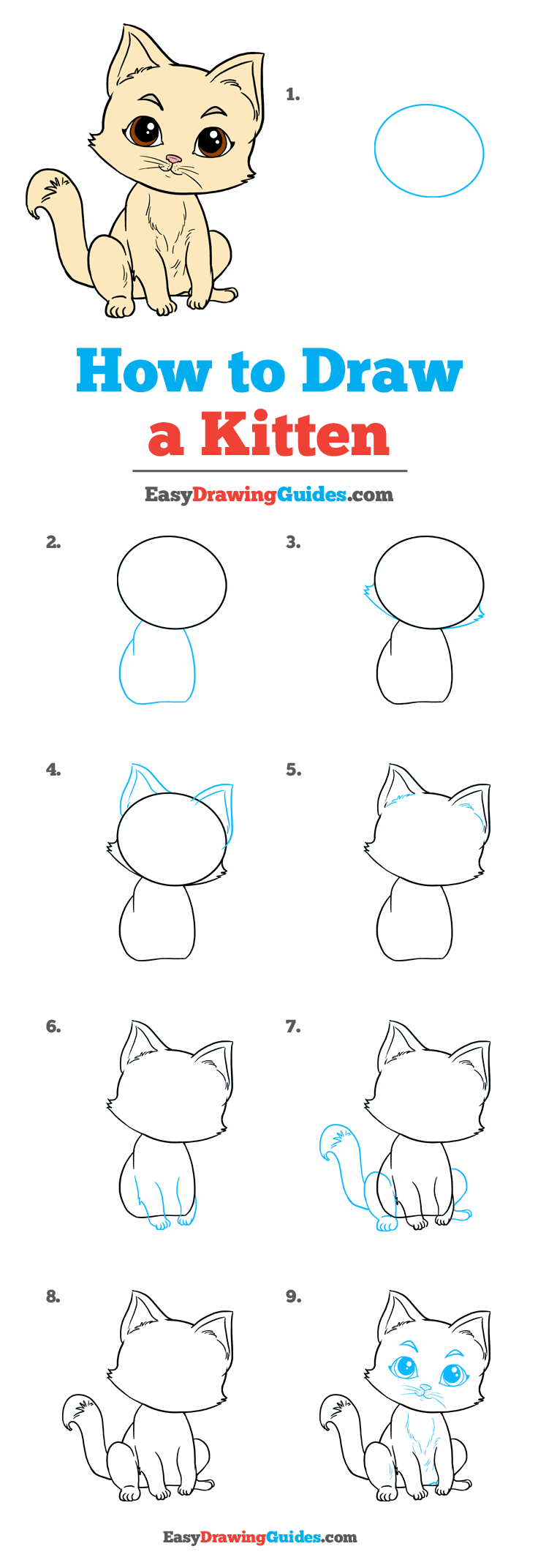 736x2143 How To Draw Kitten - Kitten Drawing