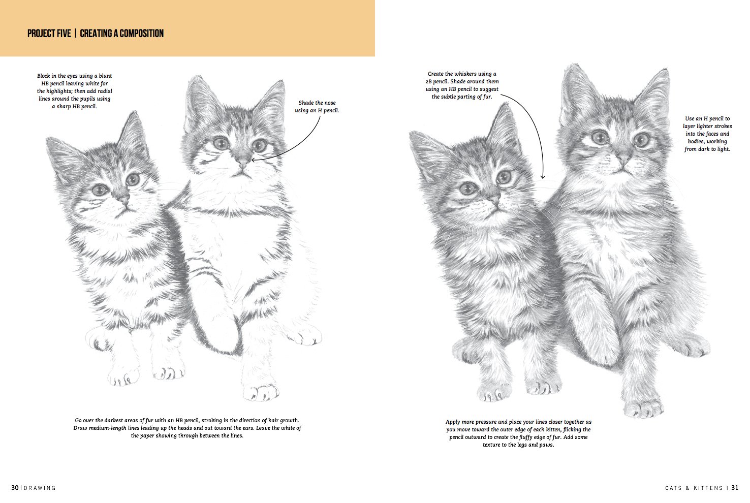 1476x990 drawing cats kittens learn to draw step - Kitten Drawing Images