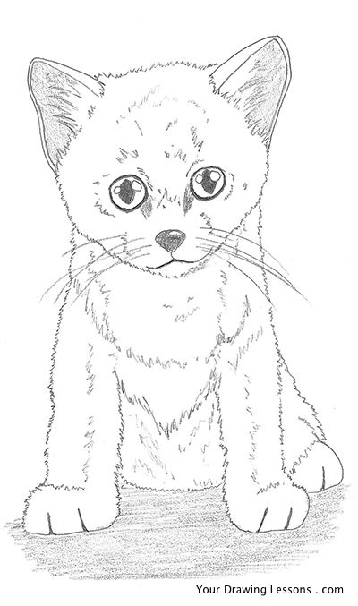 400x677 How To Draw A Kitten Your Drawing Lessons - Kitten Drawing Images