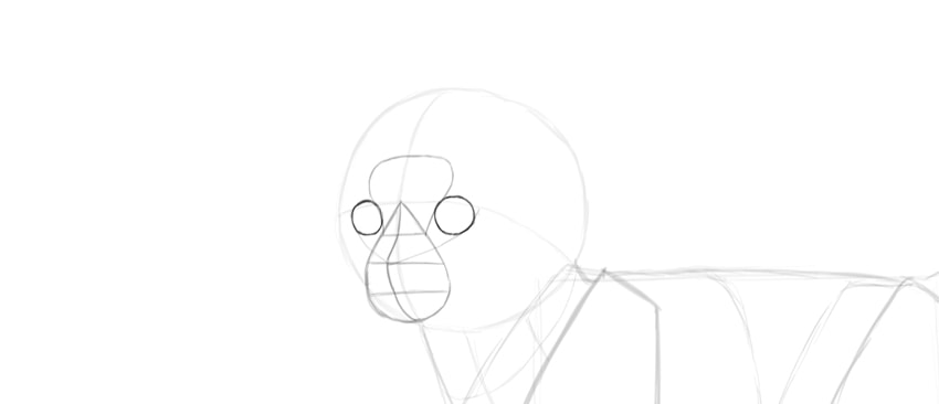 850x366 How To Draw A Super Cute Kitten Step - Kitten Drawing Images