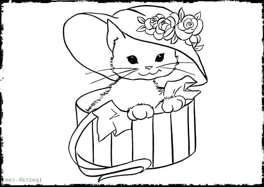 1024x728 Kitten Drawings Cat And Animal Easy Peternguyen - Kitten Drawing Images