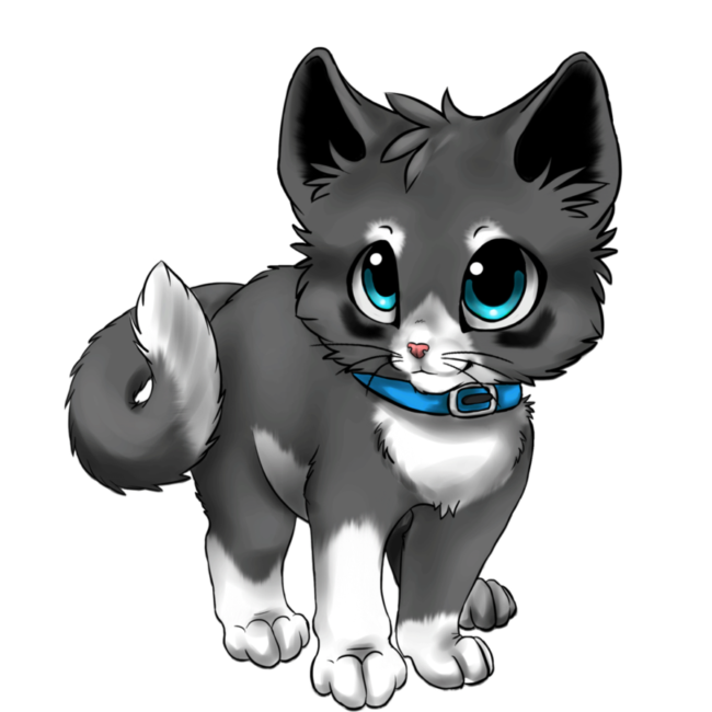 650x650 Kitten Drawing Nice Coloring Pages For Kids - Kitten Drawing Images