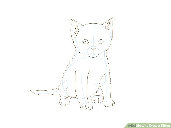 728x546 Ways To Draw A Kitten - Kitten Drawing Images