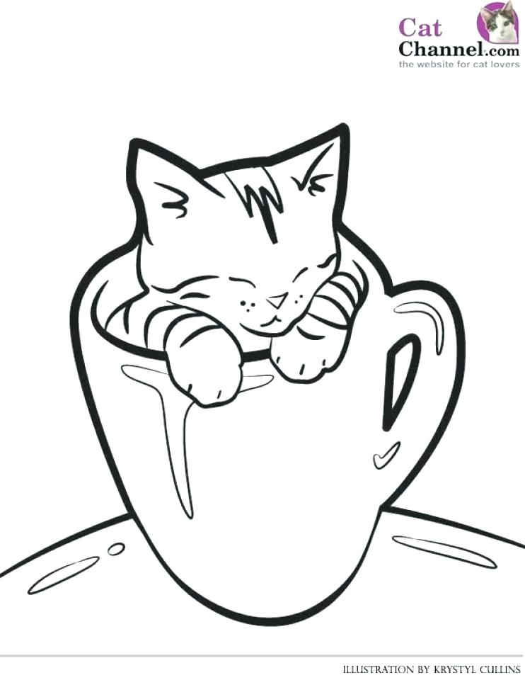 742x960 cute kitten coloring pages inspirational image kittens drawing - Kitten Drawing Images