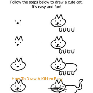 320x320 How To Draw A Kitten Easy How To Draw A Cat Step - Kitten Drawing Step By Step