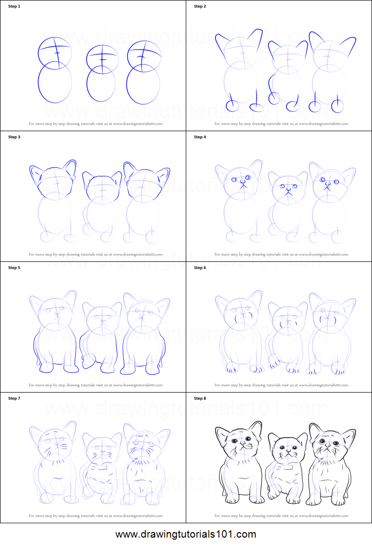 751x1107 how to draw three kittens printable step - Kitten Drawing Step By Step
