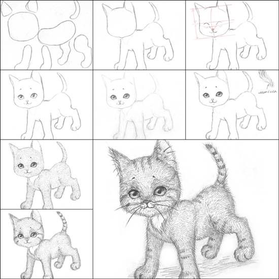 550x550 How To Draw A Kitten Easily Creative Ideas Drawings, Kitten - Kitten Drawing Step By Step