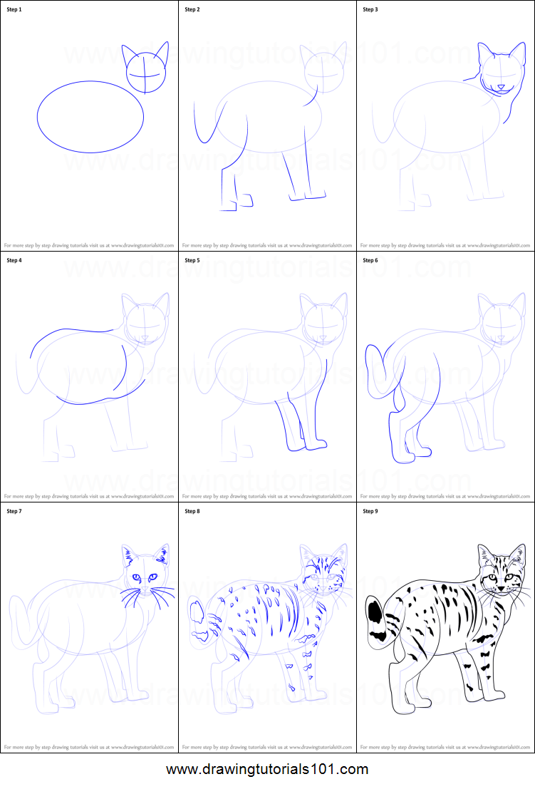 751x1107 How To Draw A Kitten Printable Step - Kitten Drawing Step By Step