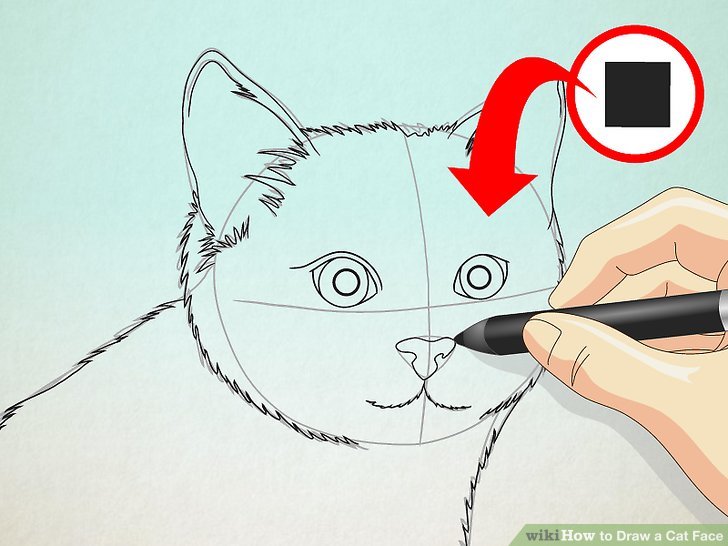 728x546 How To Draw A Cat Face Steps - Kitten Face Drawing