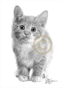 212x300 Cat Kitten Pencil Drawing Print Only Signed - Kitten Pencil Drawing