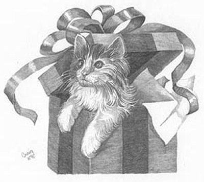 400x356 Cat In The Box Pencil Sketch - Kitten Pencil Drawing