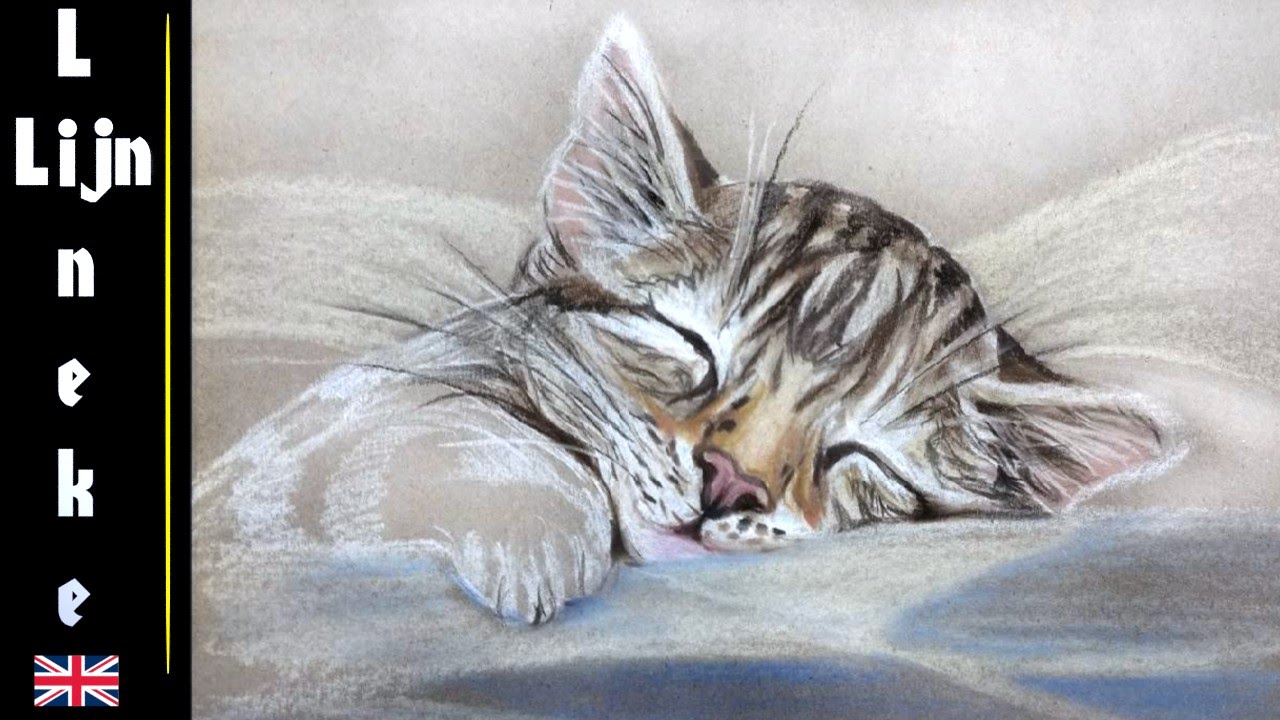 1280x720 Easy Kitten For Beginners Pastel Pencil Drawing - Kitten Pencil Drawing