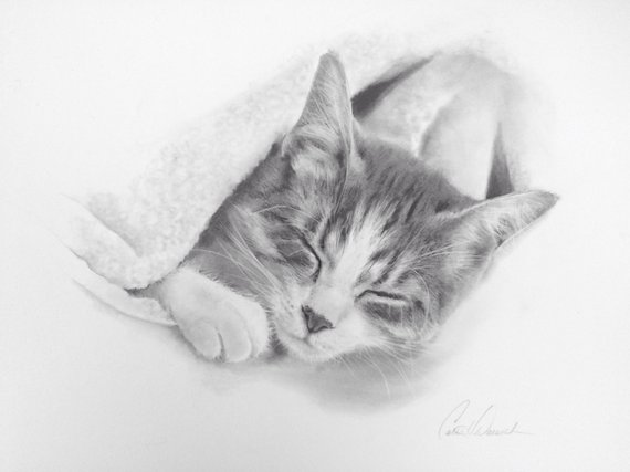 570x427 Kitten Pencil Drawing Drawing Original Artwork Nursery Decor Wall - Kitten Pencil Drawing