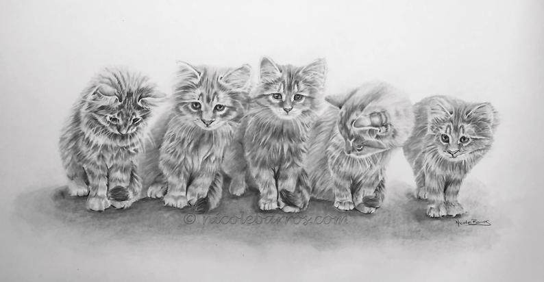 794x412 kittens original pencil drawing animal art home decor etsy - Kitten Pencil Drawing